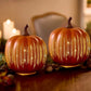 🔥2025 HOT SALE - 🎃✨ Illuminated Starry Night Pumpkins by Valerie✨